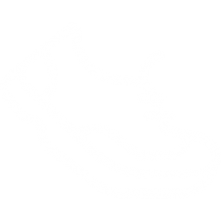 sneaker-for-running